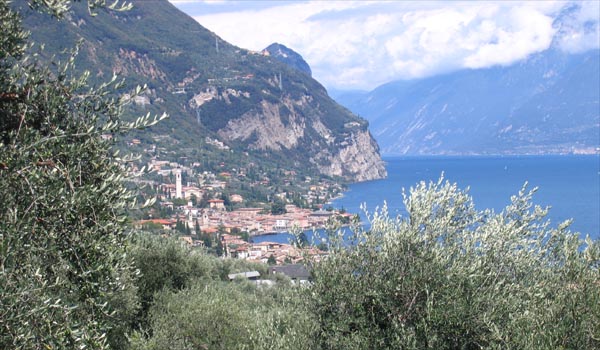 panorama.JPG