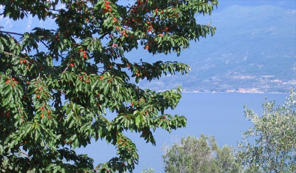 veduta.JPG