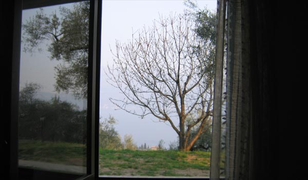 vista.JPG