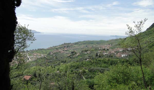 panorama.jpg
